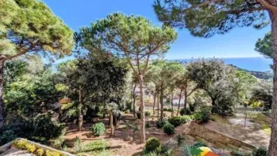 Chalet in Passatge dels Gessamins photo 24