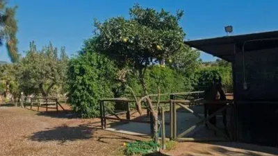 Rustic House in Costa Natura photo 32
