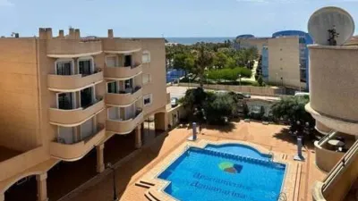 Pis - Vista 3