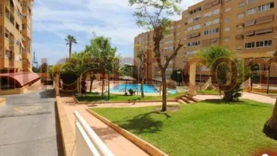 Apartment in Alicante - Alacant photo 5