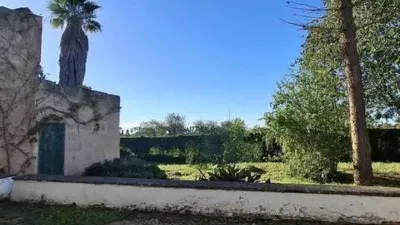 Rustic house at Calle Diseminado 4407 - Son Sardina, 50 photo 6