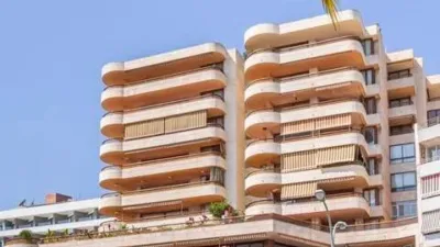 Apartment on Avinguda de Gabriel Roca photo 19