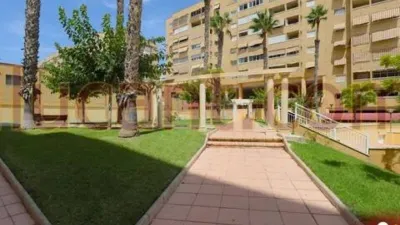 Apartment in Alicante - Alacant photo 3