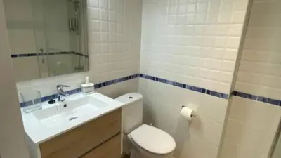 Apartment on Avenida Juan Carlos I photo 15