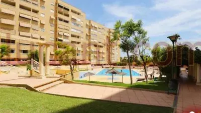 Apartment in Alicante - Alacant photo 4