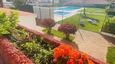 Apartment on Avenida Juan Carlos I photo 24