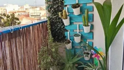 Apartment in Santomera photo 2