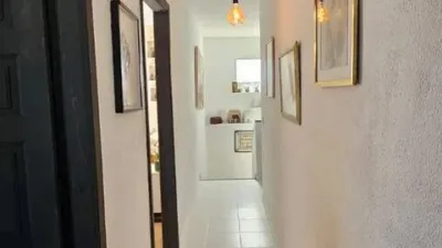 Apartment on Minerva Street photo 20