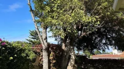 Chalet en San Antonio-Las Arenas photo 21