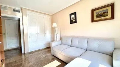 Duplex Penthouse in Playa de San Juan photo 38