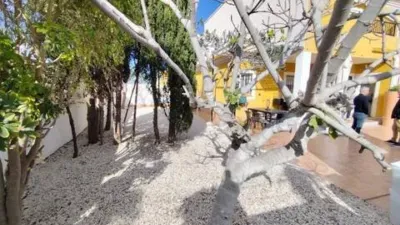 Apartment in Los Arenales del Sol photo 6