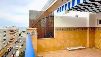 Apartment in Las Viñas photo 45