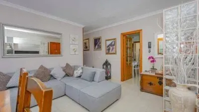 Ground Floor Apartment in Santa Margalida photo 6