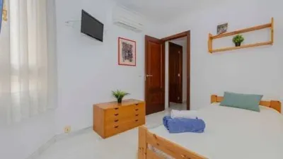 Apartment in Platja d'Alcúdia-Port d'Alcudia photo 10