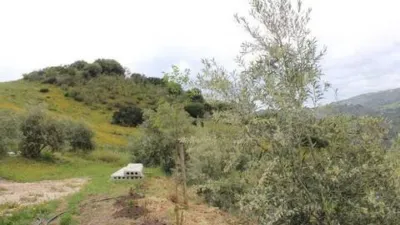 Chalet en El Gastor photo 36