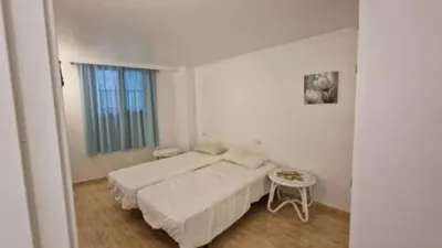 Apartment in Pla de Mar-Port photo 15