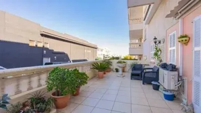 Ground Floor Apartment in Santa Margalida photo 13
