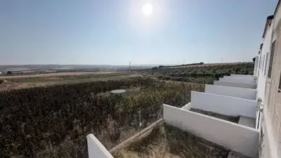 Chalet en Manzanilla photo 18