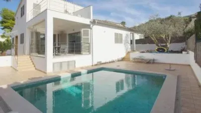 Chalet in Marina Manresa-Mal Pas-Bonaire photo 4