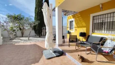 Apartment in Los Arenales del Sol photo 9