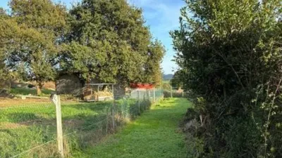 Chalet in Argoños photo 3