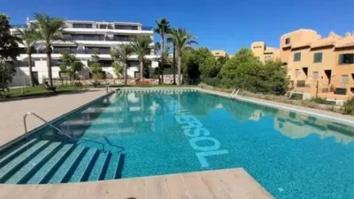 Apartment in Golf Bahía Urbanization photo 31