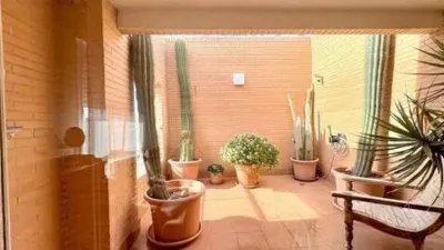 Duplex Penthouse in Playa de San Juan photo 32