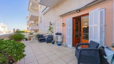 Ground Floor Apartment in Santa Margalida photo 14