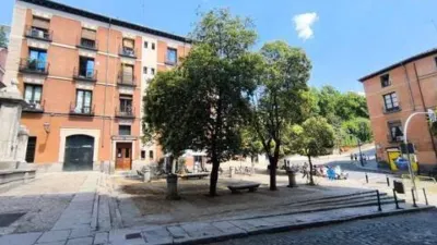 Apartment in Palacio photo 31
