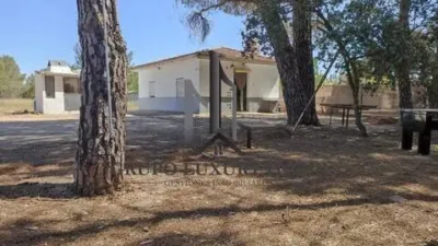 Terreno en venta en La Gineta - Más