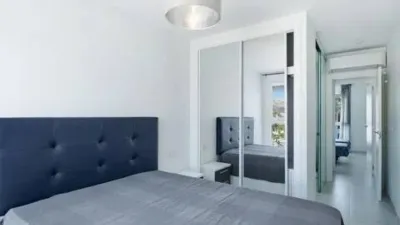 Apartment on Gladiolo Street photo 16