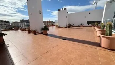 Duplex Penthouse in Playa de San Juan photo 57