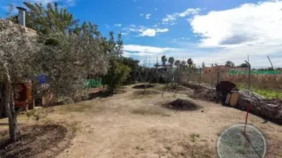Casa – Elx - Elche - Vista 3