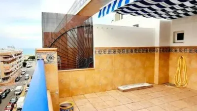 Apartment in Las Viñas photo 2