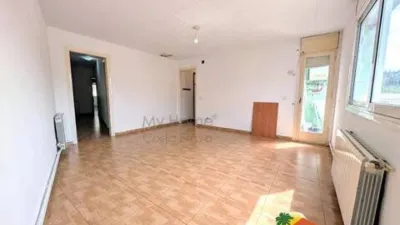 Apartment on Carrer de les Modistes photo 4