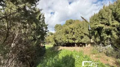 Chalet in Olivella photo 23