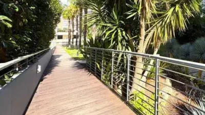 Duplex Penthouse in Playa de San Juan photo 61
