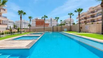 Pis – Orihuela - Vista 2