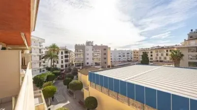 Apartment in Platja d'Alcúdia-Port d'Alcudia photo 17
