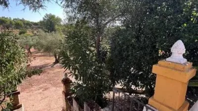 Chalet in Andújar photo 33
