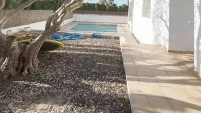 Chalet in Marina Manresa-Mal Pas-Bonaire photo 8