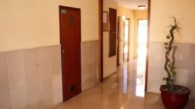 Apartment on Isla de Ibiza Street photo 3