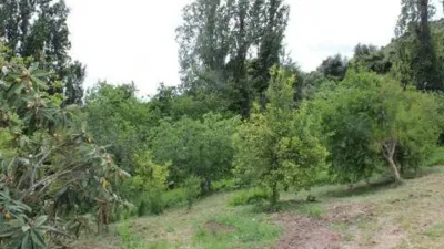 Chalet en El Gastor photo 19