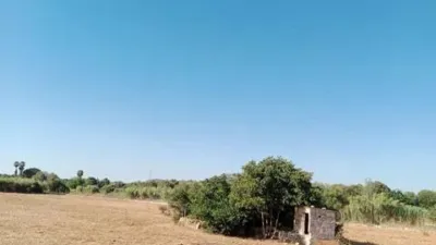 Rustic house in Búger photo 10