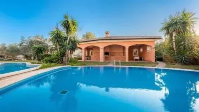 Apartment in El Toro photo 20