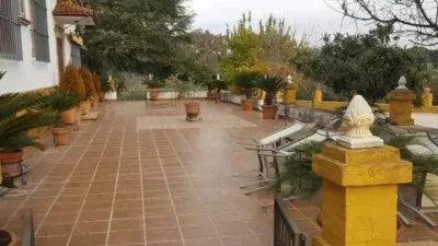 Chalet in Andújar photo 26