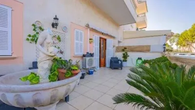 Ground Floor Apartment in Santa Margalida photo 15