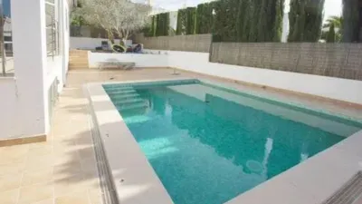 Chalet in Marina Manresa-Mal Pas-Bonaire photo 3