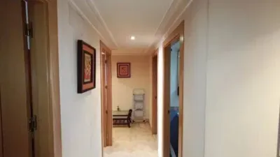 Apartment in Jumilla photo 28