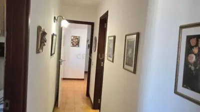 Apartment on Avenida del Arquitecto Gómez Cuesta photo 10